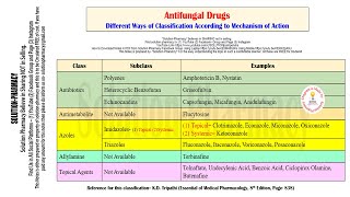 Microbiology 81  Classification of Antifungal Drugs  Mechanism of Action of Antifungal Drugs [upl. by Thurlow]