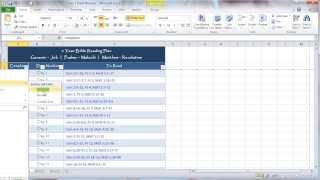 Sorting Your Excel Bible Reading Plan [upl. by Seniag]