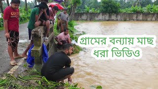 গ্রামে বন্যায় মাছ ধরার ভিডিওCumilla Bonna Video 2024 [upl. by Atteuqaj]