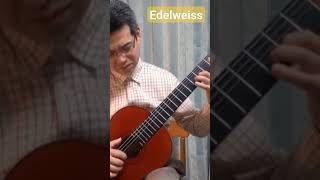 Edelweiss guitar [upl. by Merle]