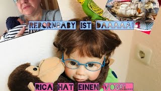 Meine Rebornbaby Puppe ist angekommen💞Rica mag nun Vögel  🦜🐦🦅Unbezahlte Werbung Puppenhobby🤹 [upl. by Florie]