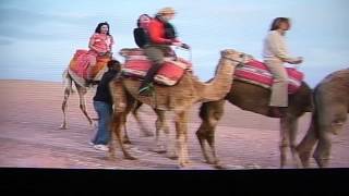 Real Housewives of NYC  Countess LuAnn on a camel [upl. by Margaret]