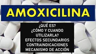 🔴 AMOXICILINA  PARA QUÉ SIRVE EFECTOS SECUNDARIOS CONTRAINDICACIONES MECANISMO DE ACCIÓN [upl. by Tchao]