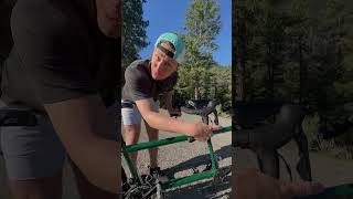 This isn’t an ordinary bike It’s a quad tandem racing bike Subscribe to watch highlights daily [upl. by Repsac824]