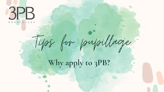 Pupillage at 3PB Barristers  why you should apply [upl. by Atinomar267]