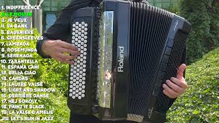 BEST ACCORDION MUSIC BY ACCORDIONMAN 1 HOUR [upl. by Fredrick]