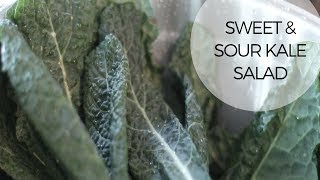 Sweet amp Sour Kale Salad [upl. by Ennovihs]