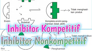 Inhibitor Kompetitif dan Inhibitor Nonkompetitif [upl. by Ylecic295]