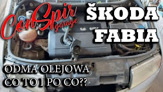 Skoda Fabia I 14  Odma olejowa  Wyciek oleju [upl. by Adialeda260]