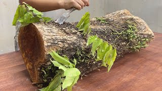 Most Unique Coffee Table Design Ideas  Amazing Skills Of Young Carpenter With Ancient Tree Trunk [upl. by Kcim]