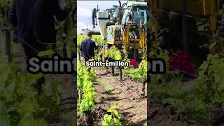 In row cultivator at Château Corbin 🚜🍷 [upl. by Aisinut196]