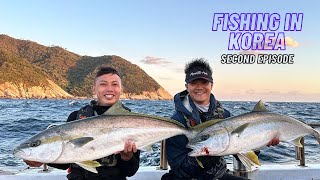 Fishing in Korea The Hunt for Kingfish [upl. by Nyleak]