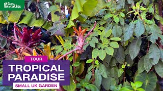 UK TROPICAL garden still LUSH in autumn [upl. by Gore]