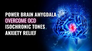 Power Brain Amygdala  Overcome An obsessive Compulsive Disorder  Isochronic Tones Anxiety Relief [upl. by Adnanref]