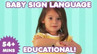 Baby Sign Language  Baby Sign Language Basics  Sign Language for Babies [upl. by Atinas704]