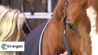 Pikeur  Imagefilm  Pikeur und Eskadron  triergon 2014 [upl. by Holt]