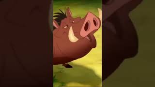 The Lion Sleeps Tonight shorts  TIMON amp PUMBAA IN THE MOVIES [upl. by Kirch216]