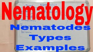 NematologyNematodesWhat is nematodesNematodes lectureNematodes ClassificationMicrobiology [upl. by Winograd598]