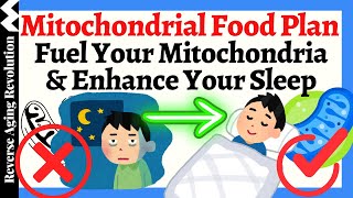 TOP Mitochondrial Foods amp Supplements for Your BEST Sleep [upl. by Ayekin791]