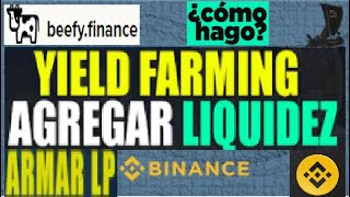 Como AGREGAR Liquidez  Como CREAR LP TOKEN en la BINANCE SMART CHAIN  BEEFY FINANCE  PANCAKESWAP [upl. by Pros]