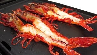 Carabineros a la Plancha [upl. by Tristan]