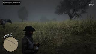 Red Dead Redemption 2 online Hennigans Stead Central Treasure map location [upl. by Sidoma]