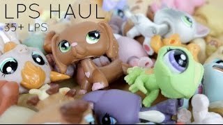 LPS Haul 35 LPS and Accessories [upl. by Namaj]