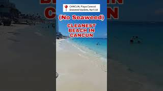 Cleanest beach in Cancun  NO SEAWEED in Playa Caracol  April 22 2024 mexico cancun seaweed [upl. by Arok]