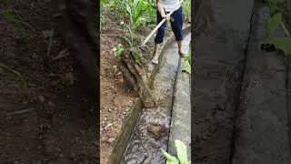 Use A Simple Tool To Clean The Rural Ditch [upl. by Jamille]