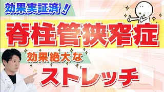 【実践編】脊柱管狭窄症を改善！ストレッチとエクササイズ。これまでの治療経験から、効果的なエクササイズを厳選（理学療法士厳選） [upl. by Yelehsa943]