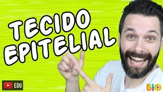 TECIDO EPITELIAL  HISTOLOGIA  Aula  Biologia com Samuel Cunha [upl. by Torrell]