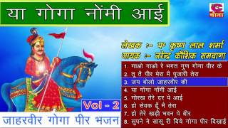 जाहरवीर गोगा पीर के भजन  नरेंद्र कौशिक  Goga Ji Bhajan  Goga Pir Ke Bhajan Vol2 [upl. by Naesed]