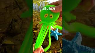 Learn Sea Animal Names at the Lake for Kids Octopus Starfish Jellyfish Blue Shark Robbon Eel [upl. by Gervase602]