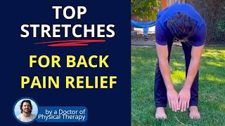 Best Stretches for Back Pain amp SI Joint Pain [upl. by Maria]