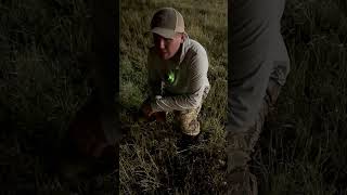 Every Hunting Influencer Ever hunting influencer backfire viralvideo [upl. by Pattie]