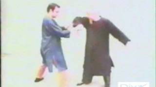 Cheng Man Ching Punches 鄭曼青出拳 [upl. by Osner536]