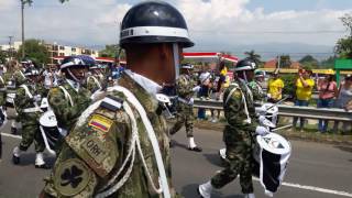 EJÉRCITO DE COLOMBIA 20 de Julio 2017 Cali  Colombia [upl. by Lawan]