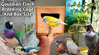 Gouldian Finch Breeding Box and Cage Size  Gouldian Finch Breeding Setup [upl. by Nyrhtak26]