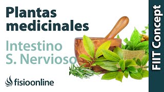 Todas las plantas medicinales para intestino delgado y sistema nervioso [upl. by Meghan2]