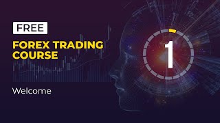 The Best Forex Trading for Beginners Course  Lesson 1 [upl. by Dihsar747]