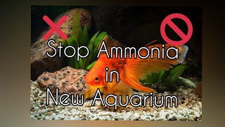 AMMONIA In Aquarium  HOW TO FIX IT FAST  NEW Fish tank [upl. by Itsrik]