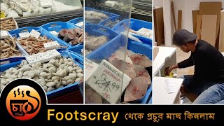 Footscray থেকে প্রচুর মাছ কিনলাম [upl. by Afital]