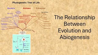 The Relationship Between Evolution and Abiogenesis [upl. by Nert]