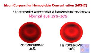 How to read Blood report CBC Interpretation of complete blood count Part 1Red Blood cellMBS [upl. by Slin]