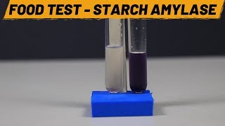 Food Test  Starch Amylase  ThinkTac [upl. by Rammus]