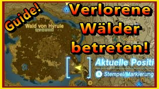 Wie Verlorene Wälder betreten Guide  Zelda Tears of the Kingdom [upl. by Aleit328]