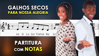 Galhos Secos  Partitura com Notas para Flauta Doce Violino  Para Nossa Alegria [upl. by Dlareme]