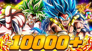 6000 STONES SPENT LR Gogeta Blue SSJ Broly Full Power 9 Year JP Summons  DBZ Dokkan Battle [upl. by Keel399]