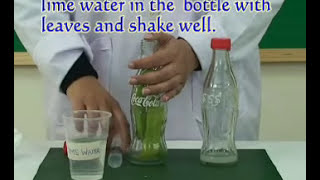 Photosynthesis Experiment  Pakistan Science Club [upl. by Arman]