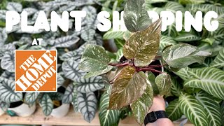 So Many Good Planty Finds at The Home Depot Today  Relaxing Lofi Plant Shopping Trip [upl. by Housum285]